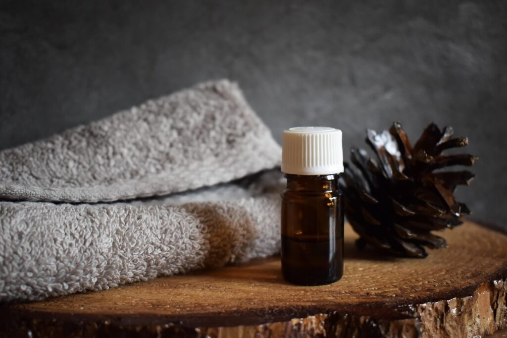 tree, essential oil, cone, aromatherapy, essential, nature, oil